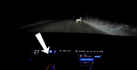 Cum reacționează o mașină Tesla când în față îi apare o căprioară